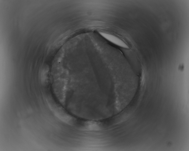 X0000116610073200912312127