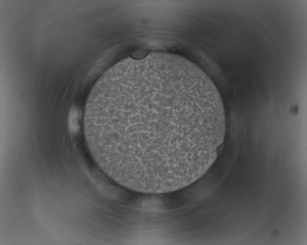 X0000116610075200912312127