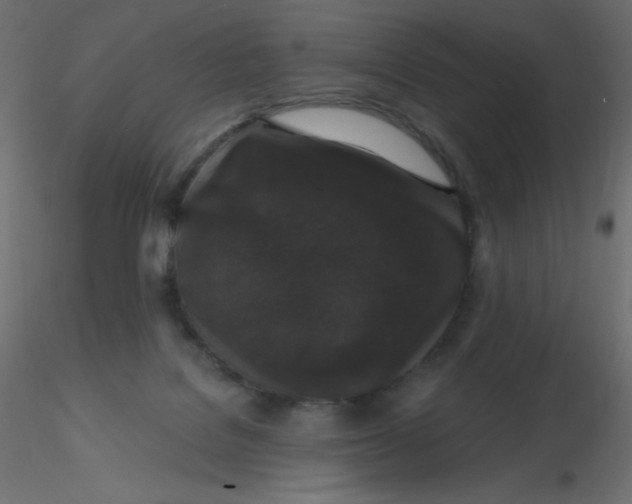 X0000116610076200912312127