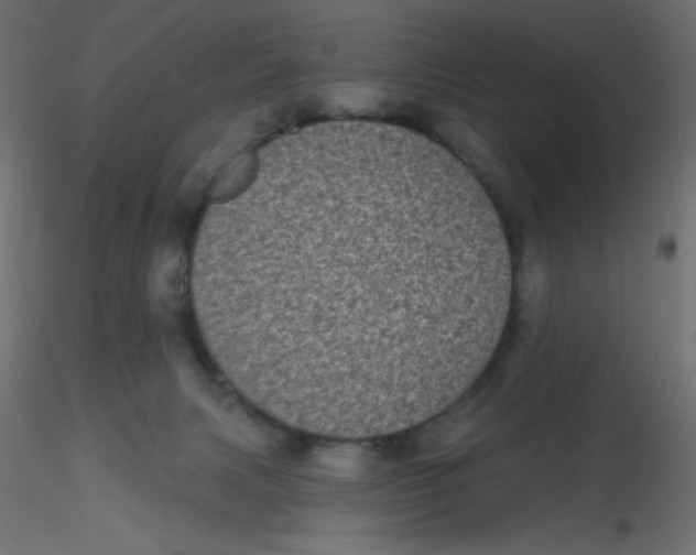 X0000116610079200912312127