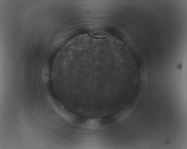 X0000116610080200912312127