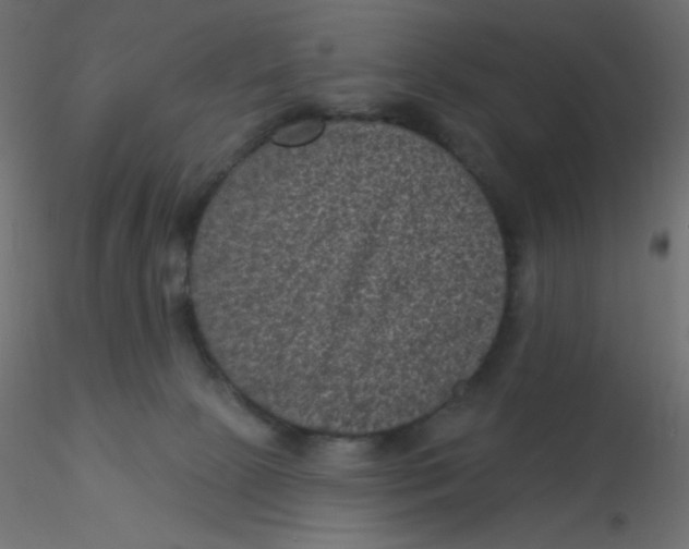 X0000116610081200912312127