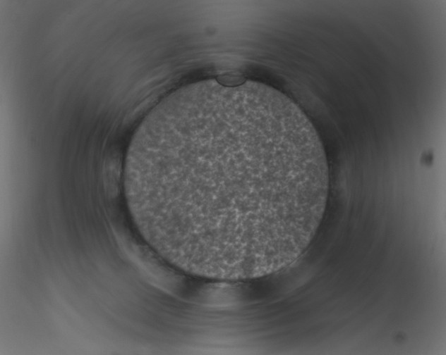 X0000116610082200912312127