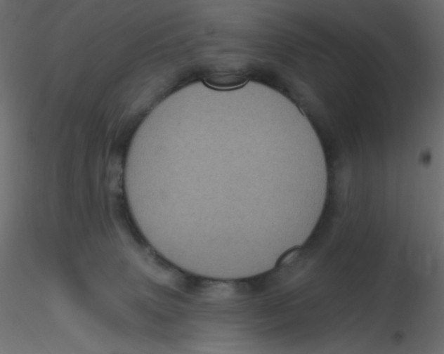 X0000116610083200912312127