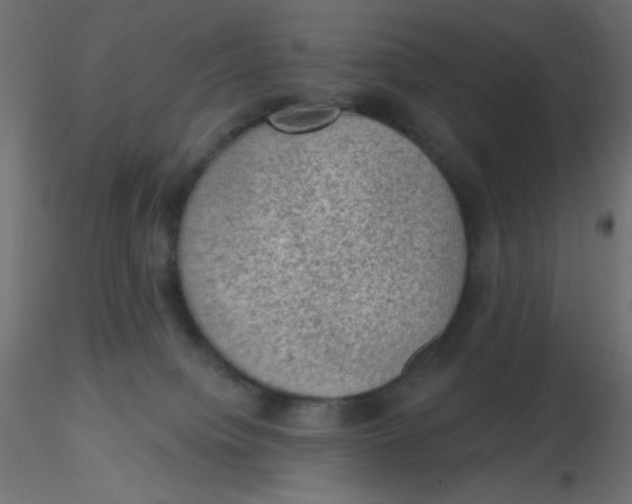 X0000116610084200912312127