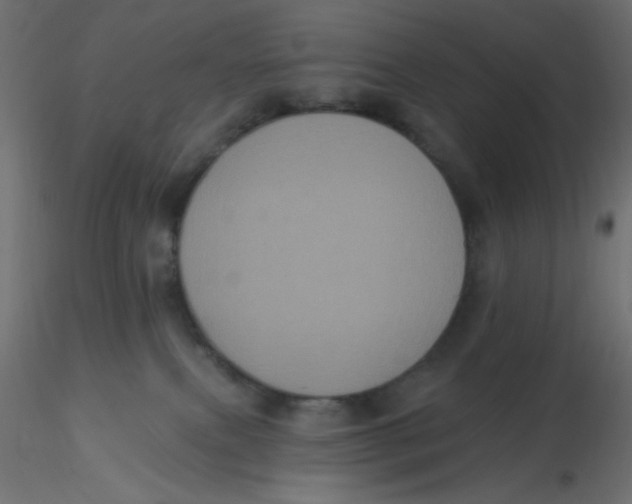 X0000116610087200912312127