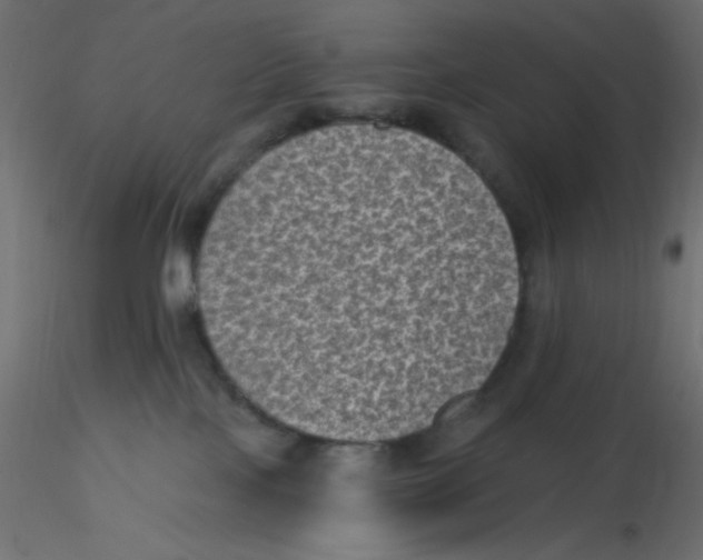 X0000116610089200912312127