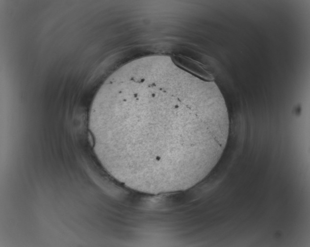 X0000116610092200912312127