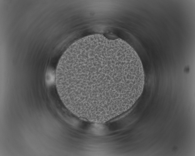 X0000116610095200912312127