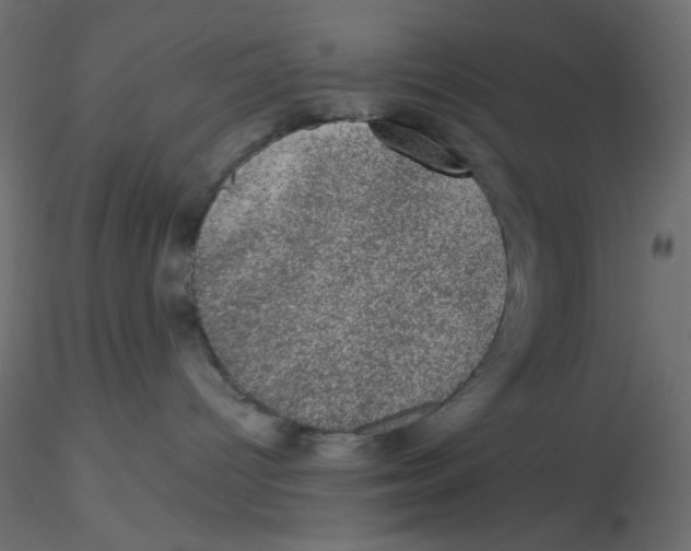 X0000116610096200912312127