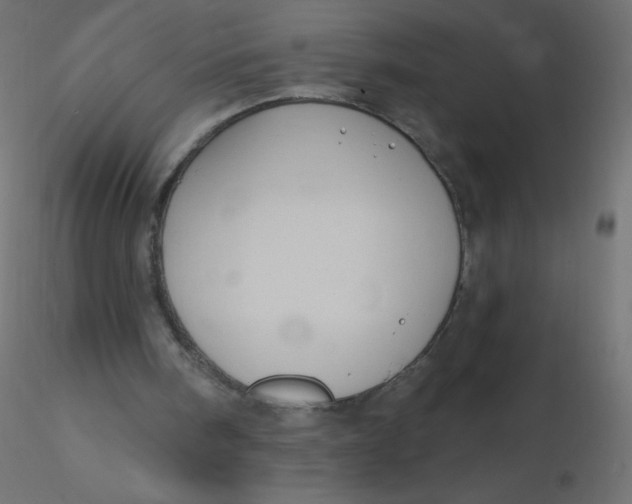 X0000116610098200912312126