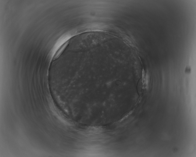 X0000116610099200912312126