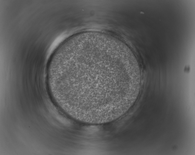 X0000116610102200912312126