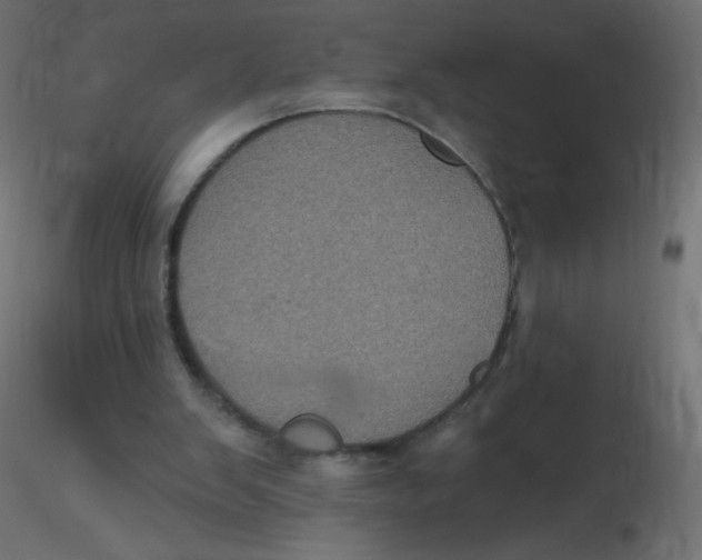 X0000116610103200912312126