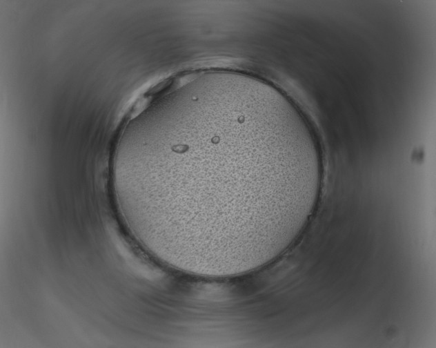 X0000116610107200912312126