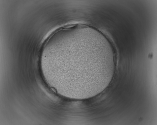 X0000116610108200912312126