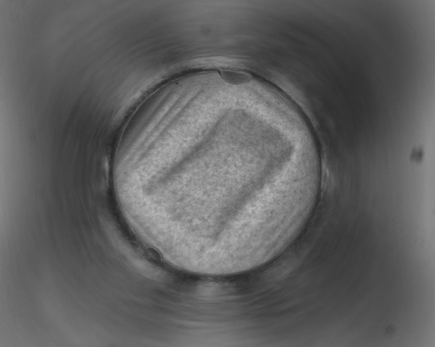 X0000116610109200912312126