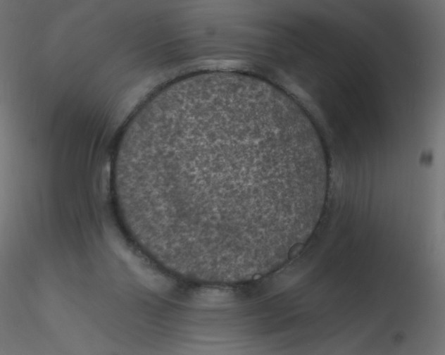 X0000116610110200912312126