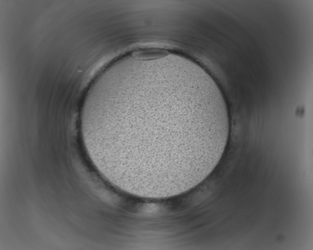 X0000116610111200912312126