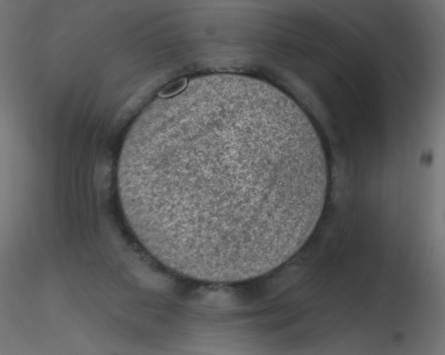 X0000116610113200912312126