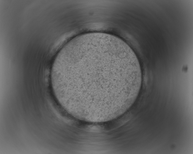 X0000116610115200912312126