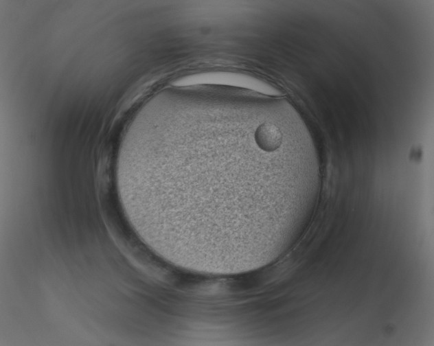 X0000116610116200912312126