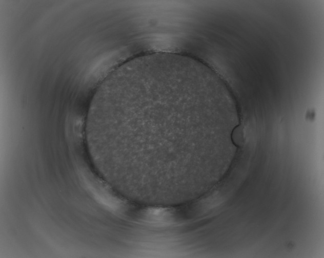 X0000116610117200912312126