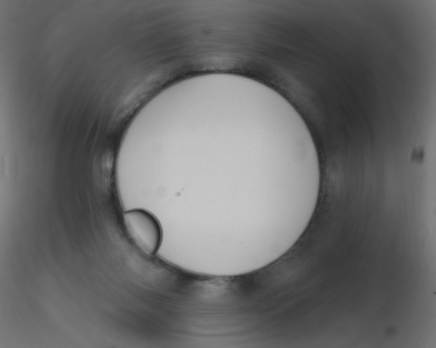 X0000116610118200912312126