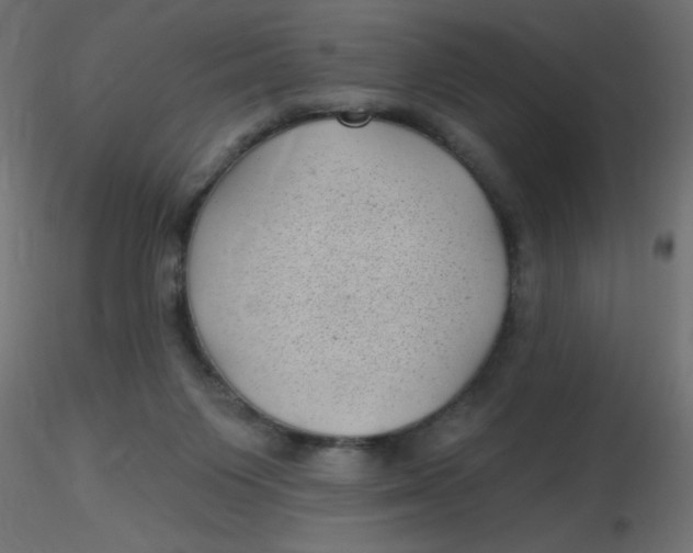 X0000116610119200912312126