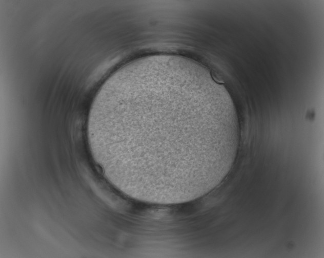 X0000116610120200912312126