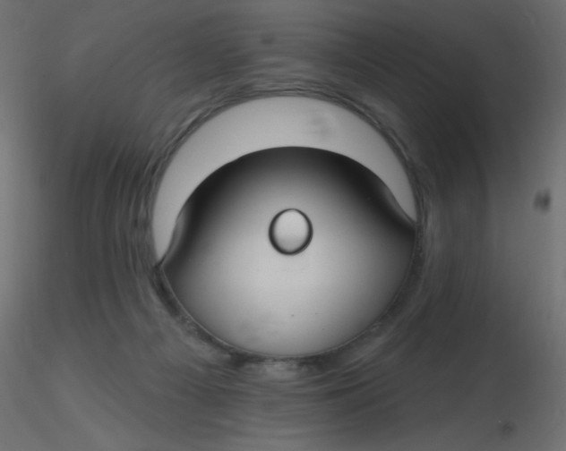 X0000116610121200912312126