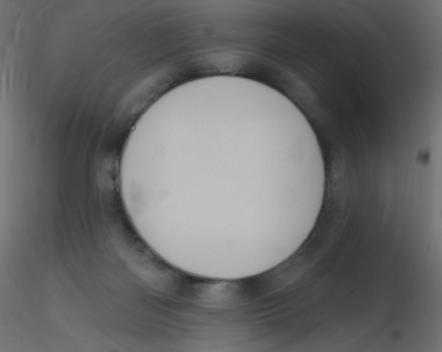 X0000116610122200912312126