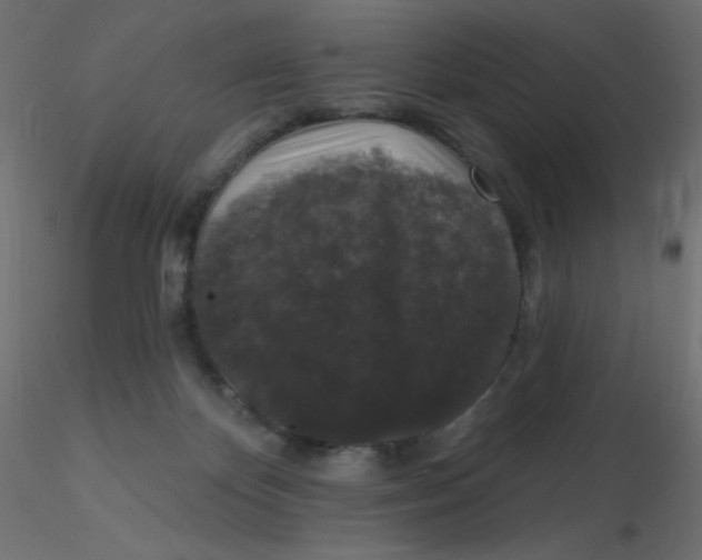 X0000116610124200912312126