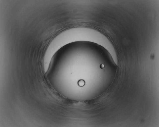 X0000116610125200912312126