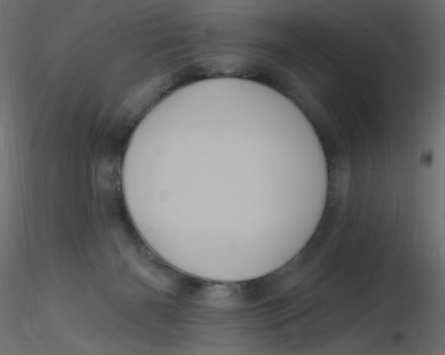 X0000116610126200912312126