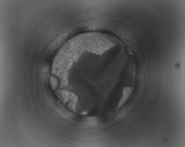 X0000116610127200912312126