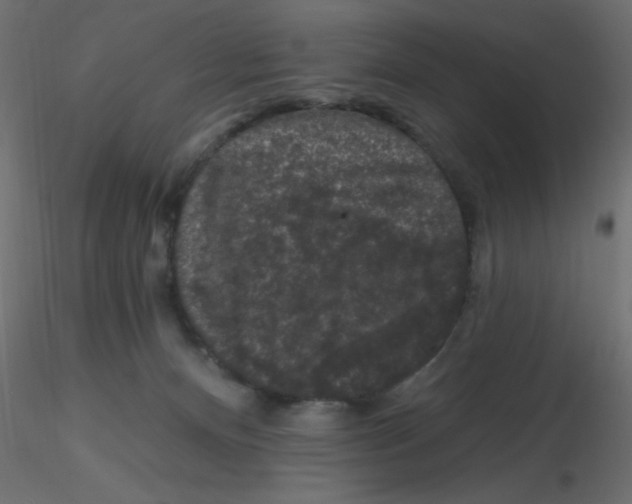 X0000116610128200912312126