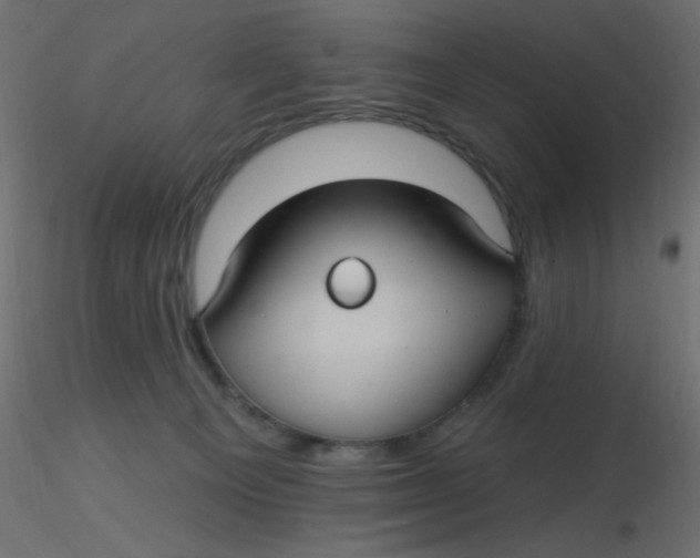 X0000116610129200912312126