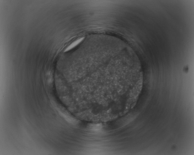 X0000116610131200912312126