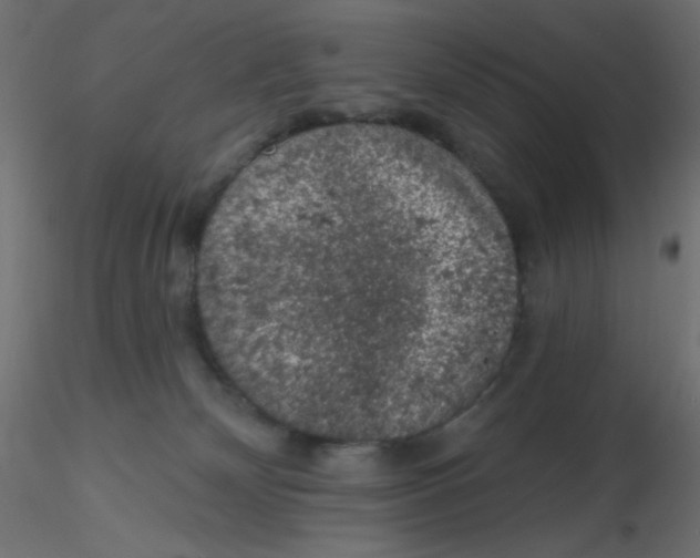 X0000116610132200912312126