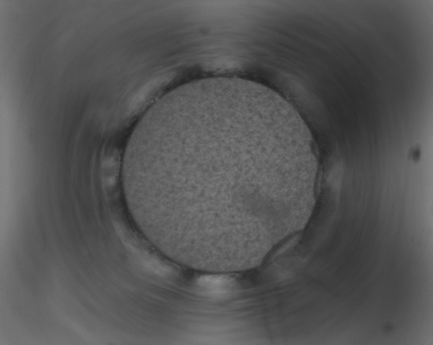 X0000116610133200912312126