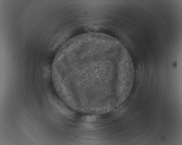 X0000116610134200912312126