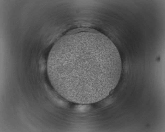 X0000116610135200912312126