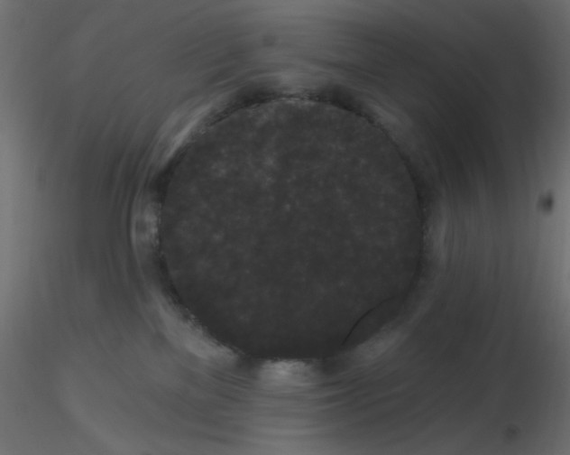 X0000116610137200912312126