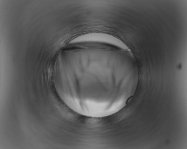 X0000116610139200912312126