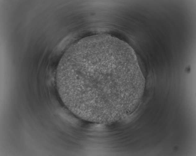 X0000116610140200912312126