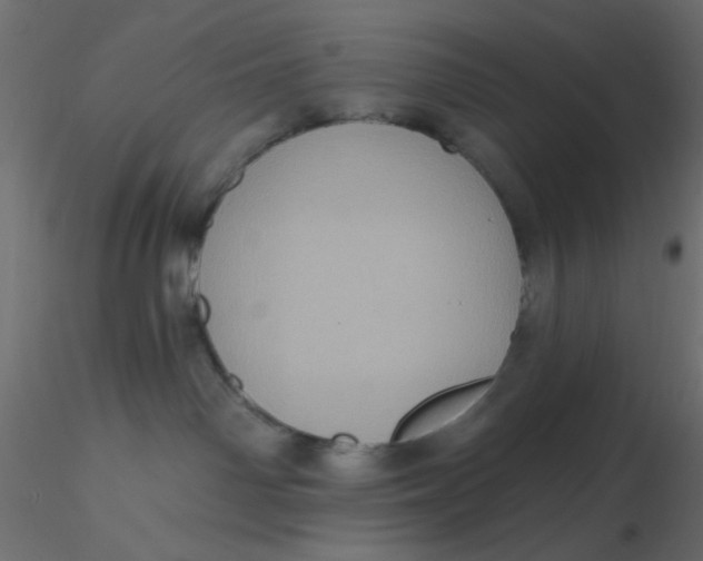 X0000116610142200912312126