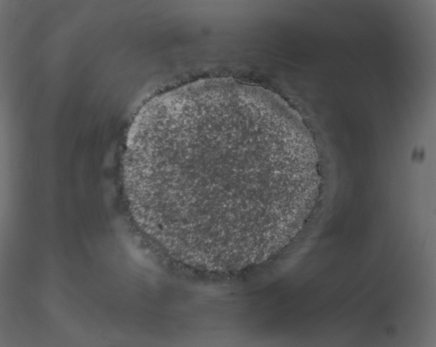 X0000116610144200912312126