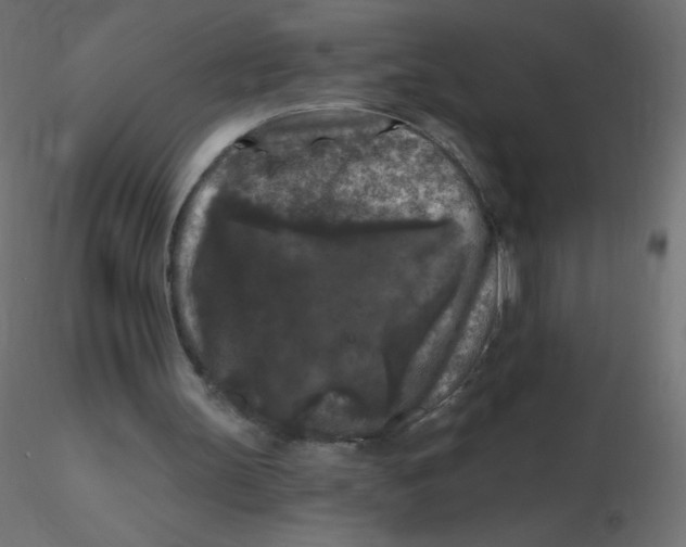 X0000116610147200912312125