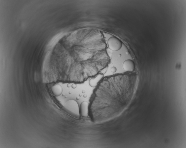 X0000116610149200912312125